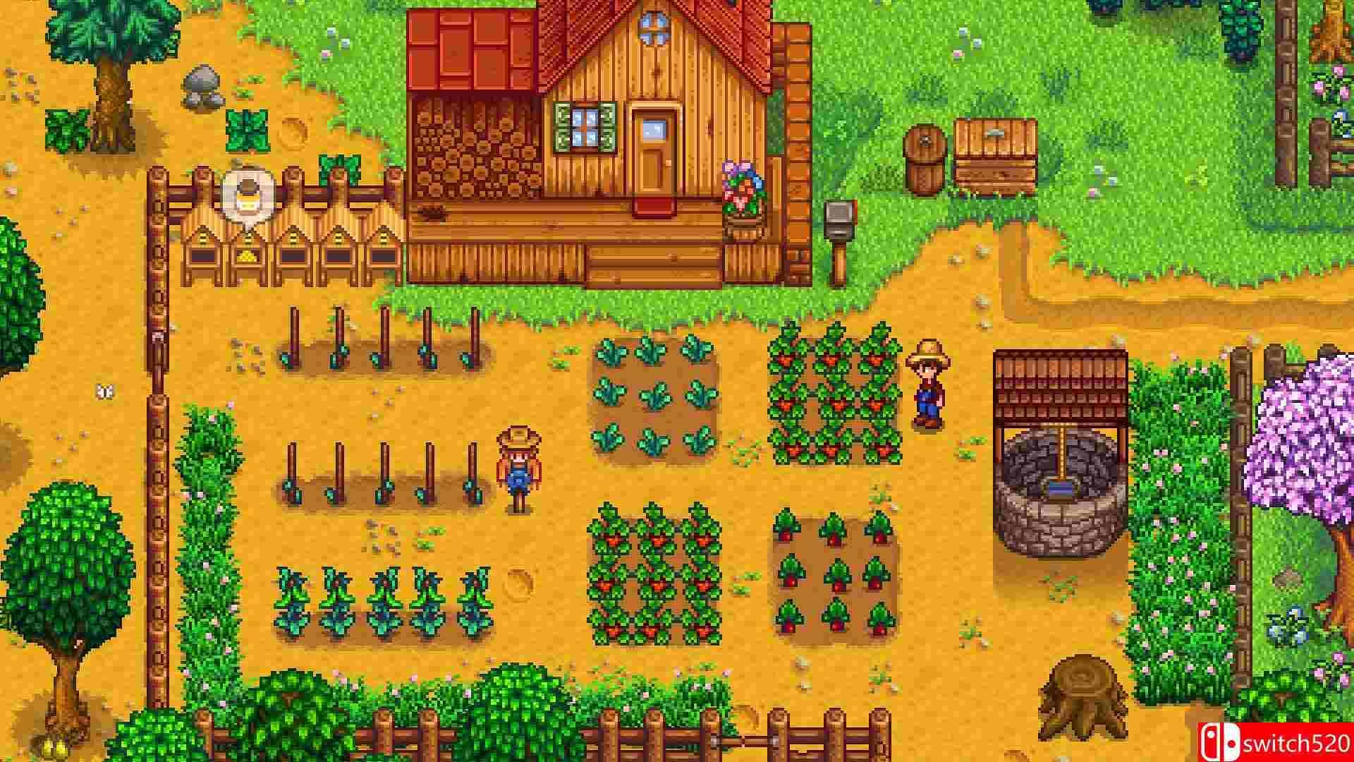 《星露谷物语（Stardew Valley）》DEFA镜像版[EN]_2