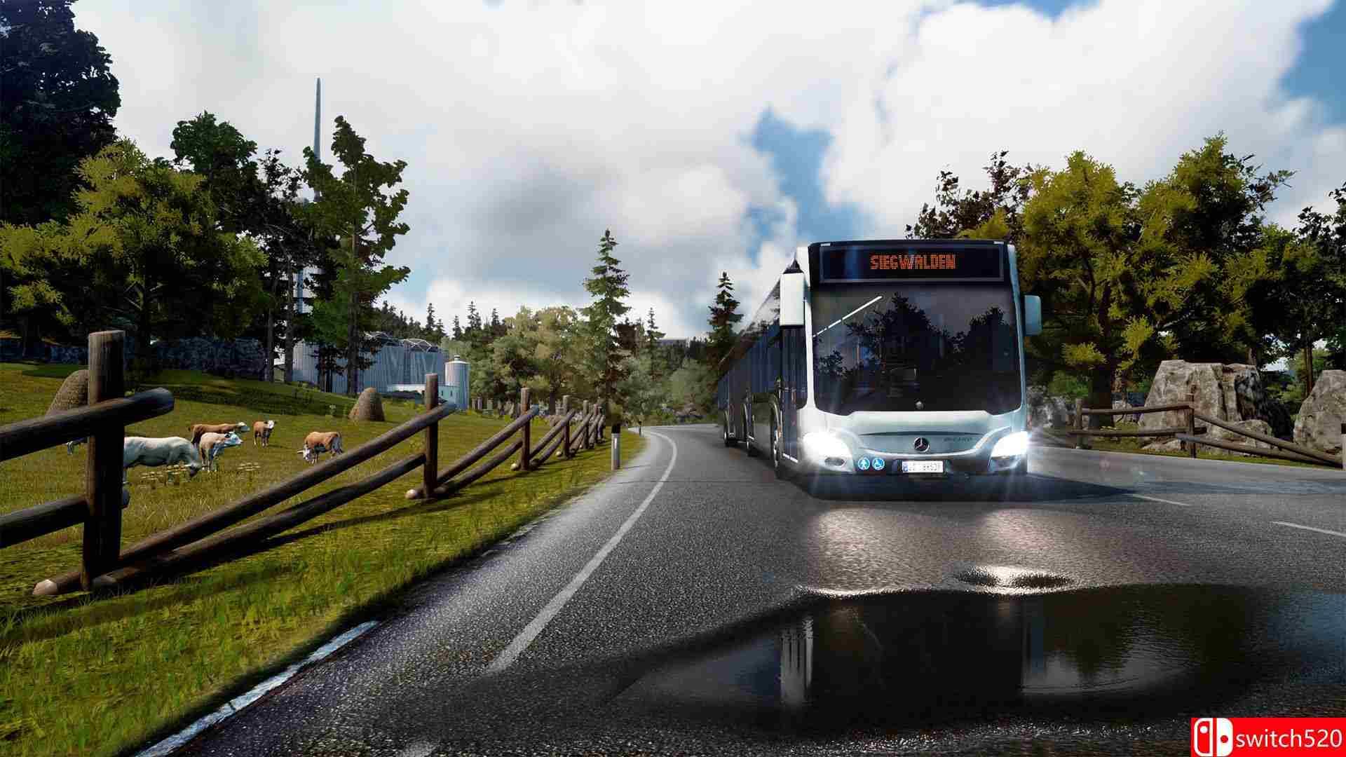 《巴士模拟18（Bus Simulator 18）》CODEX镜像版[EN][更新14号升级档]_4