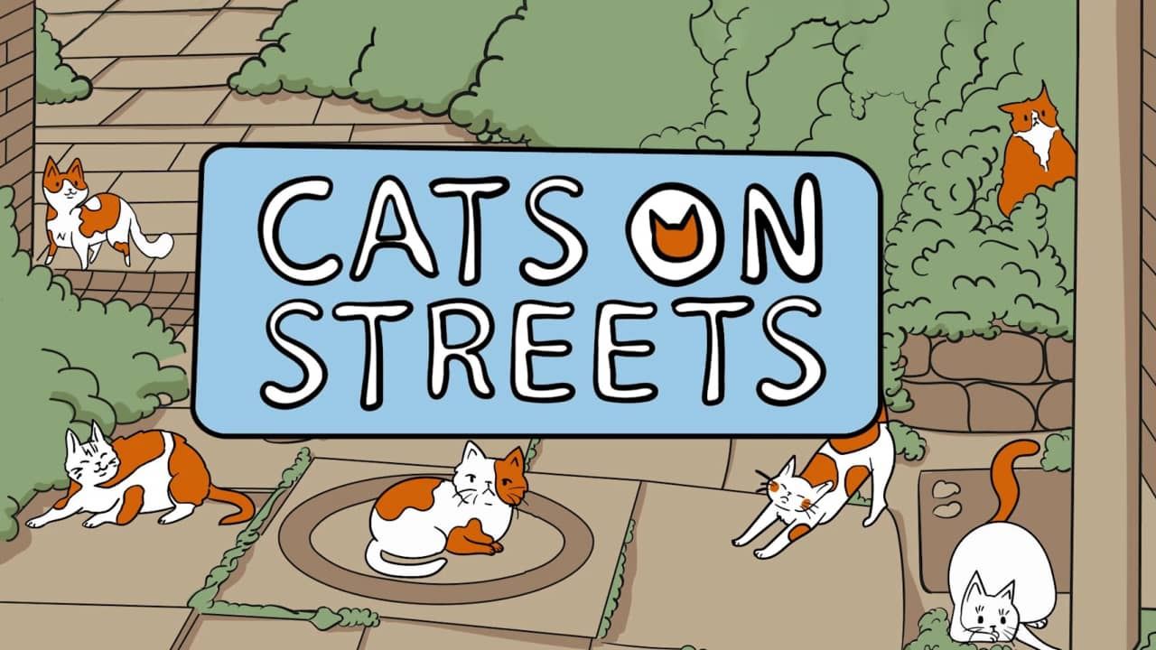 街上的猫丨Cats on Streets_0