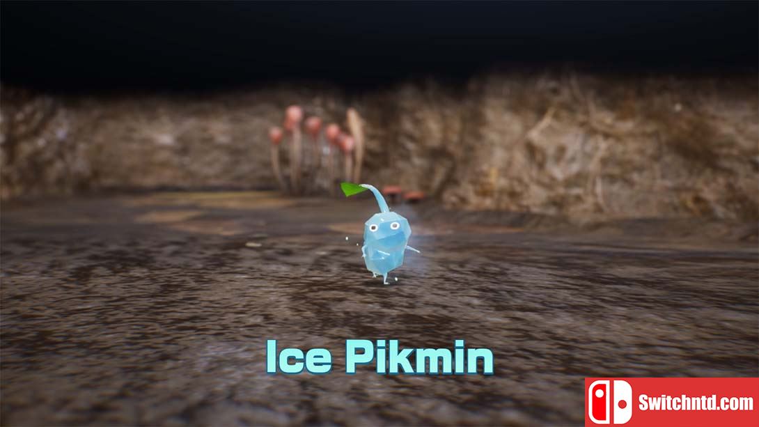 【美版】皮克敏4 Pikmin 4 中文_1