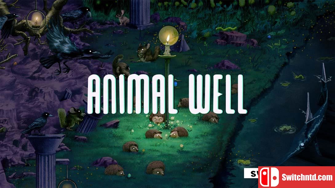 【美版】动物井 .ANIMAL WELL 中文_0