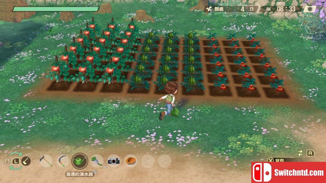 【港版】牧场物语 Welcome! 美丽人生 .STORY OF SEASONS A Wonderful Life 中文_4