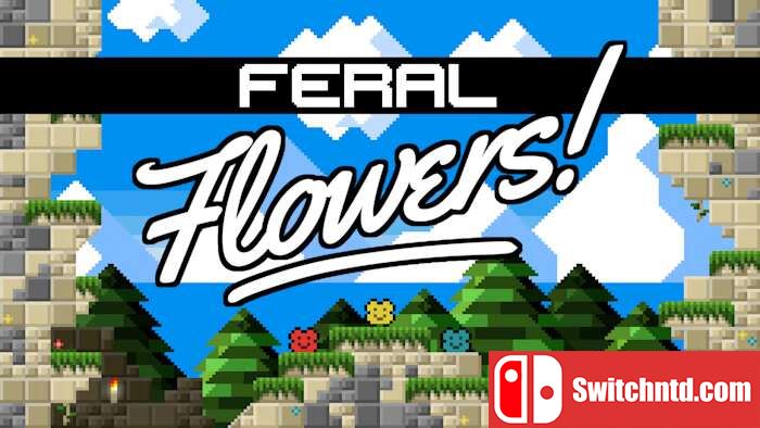 野花丨Feral Flowers_0