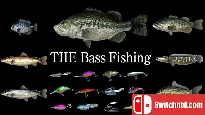 THE Bass Fishing_0