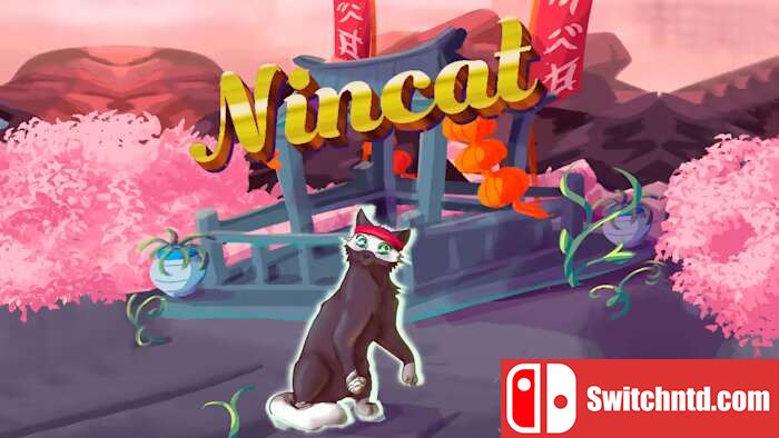 忍者猫丨Nincat_0