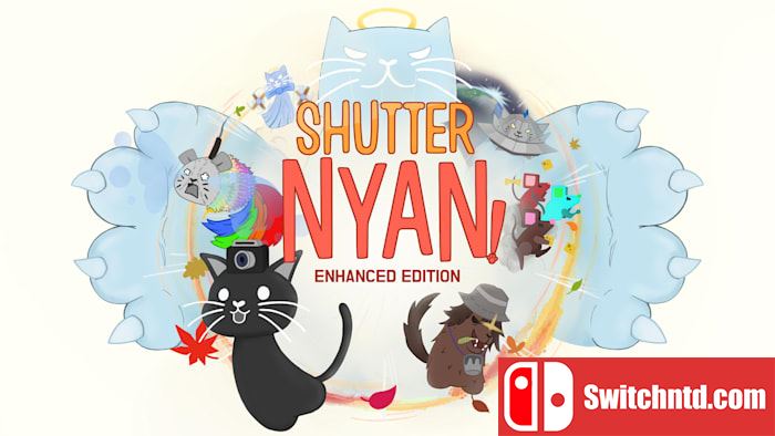 头顶相机的猫丨Shutter Nyang_0