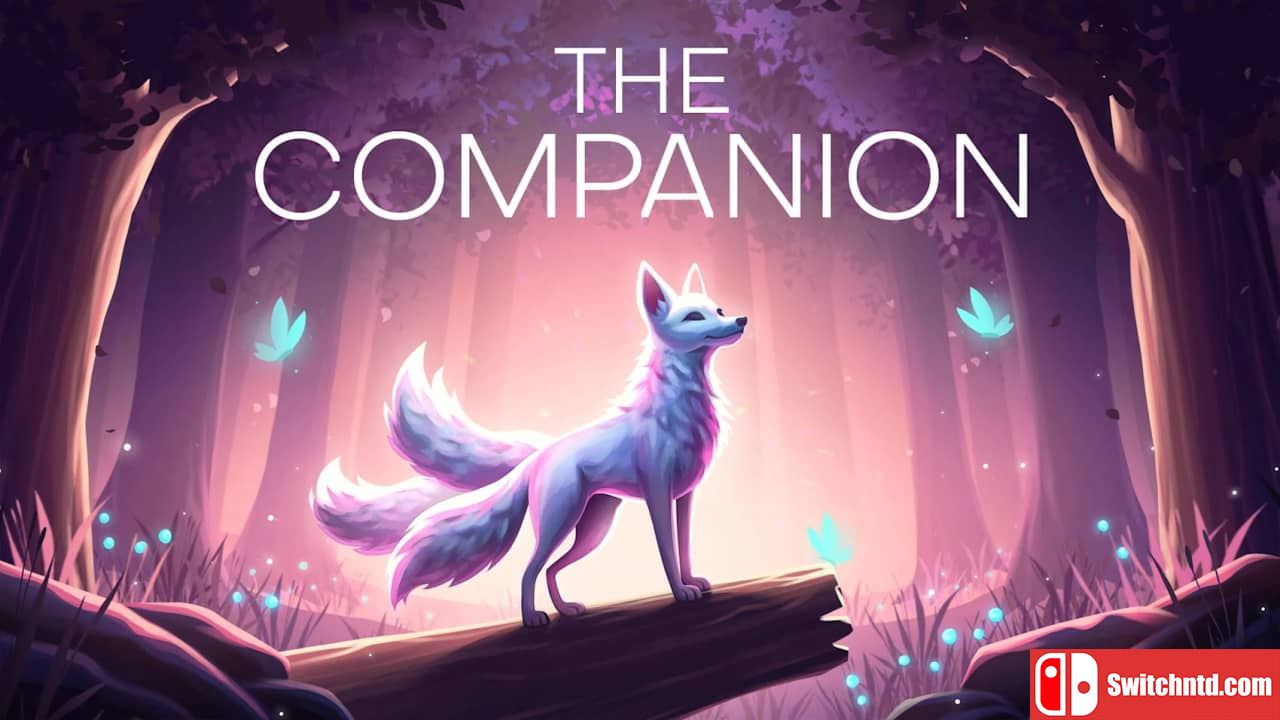 同伴丨The Companion_0