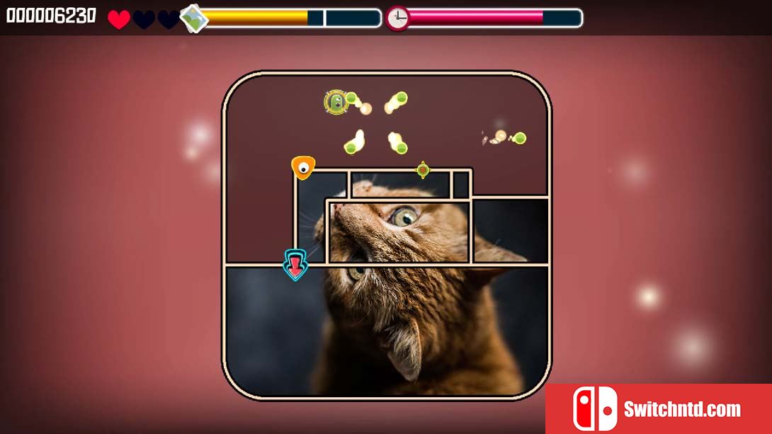 【美版】动物拼图猫 Animal Puzzle Cats 中文_2