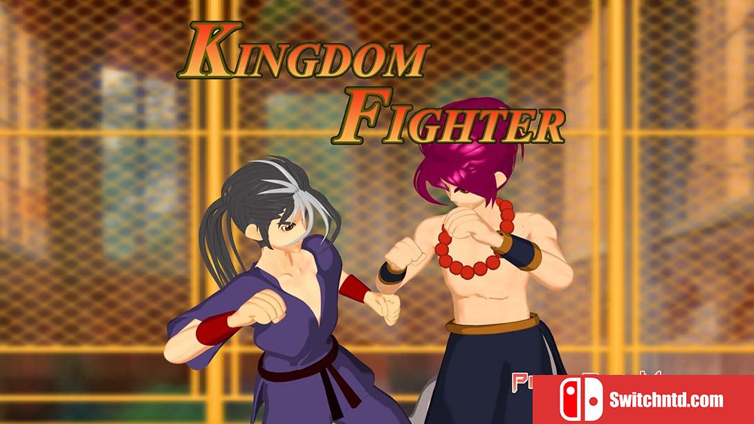 【美版】Pixel Game Maker Series KINGDOM FIGHTER 英语_0