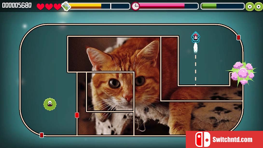 【美版】动物拼图猫 Animal Puzzle Cats 中文_4